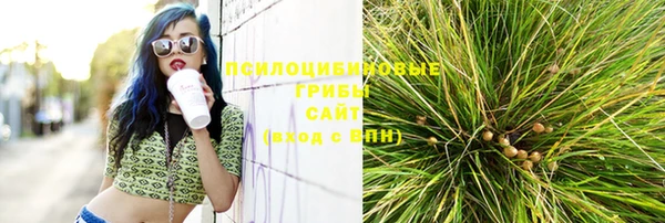дживик Елабуга