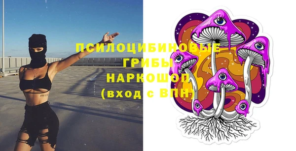 дживик Елабуга