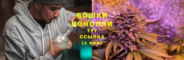 дживик Елабуга