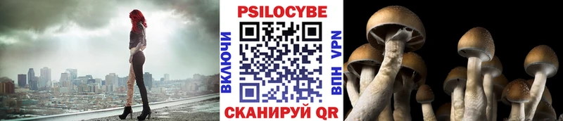 Галлюциногенные грибы Psilocybine cubensis  купить наркотики цена  Бердск 