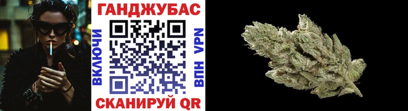 hydra вход  Бердск  Бошки марихуана сатива 